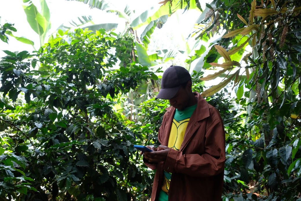 A person in a brown jacket and cap uses a smartphone in a lush, green tropical garden.