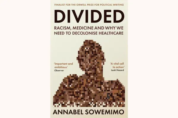 cover van het boek divided van Annabel Sowemimo