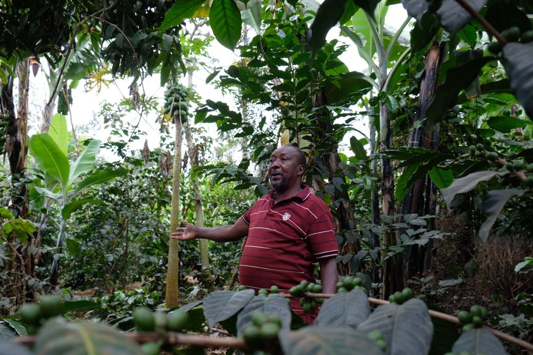 Man in a striped shirt stands in a lush garden surrounded by various green plants and trees, gesturing with his hand.
