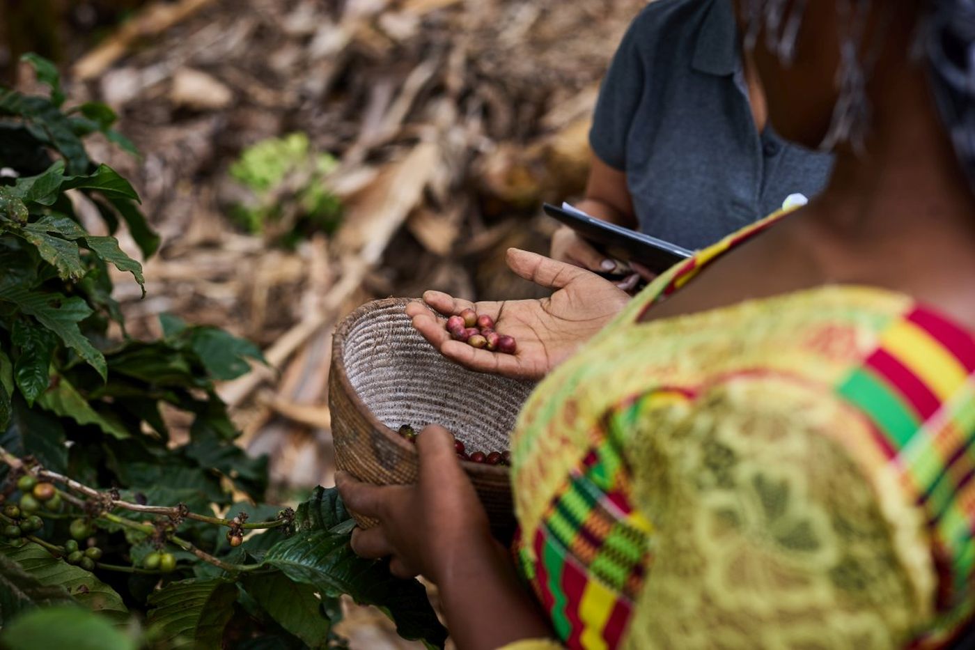 Image café - conférence 19 mars