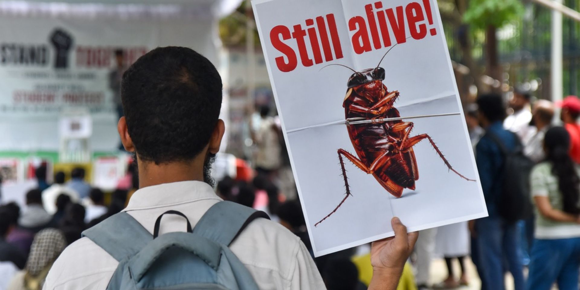 Man holding a sign with a cockroach and the words "Still alive!" at a public demonstration.