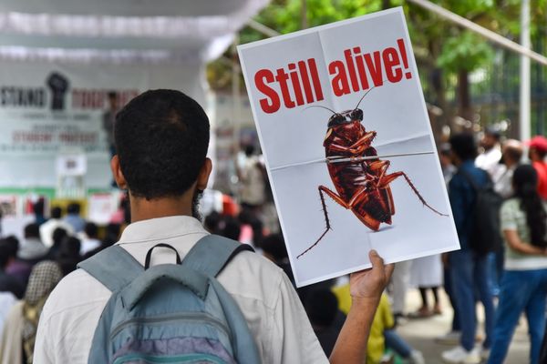 Man holding a sign with a cockroach and the words "Still alive!" at a public demonstration.