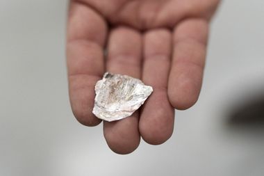 A hand holding a small, irregularly shaped shell with a rough texture and pinkish-white coloring against a blurred background.