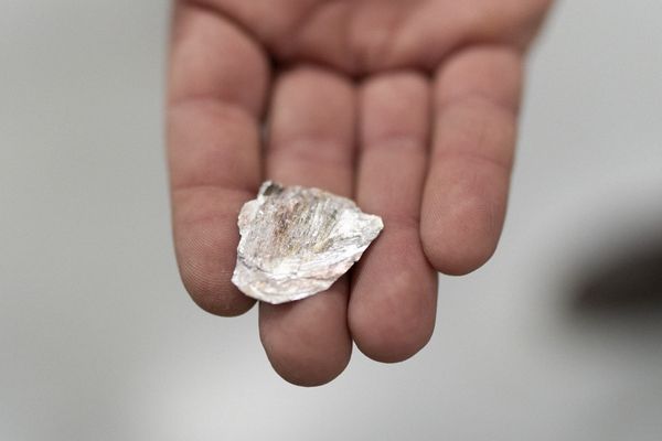 A hand holding a small, irregularly shaped shell with a rough texture and pinkish-white coloring against a blurred background.