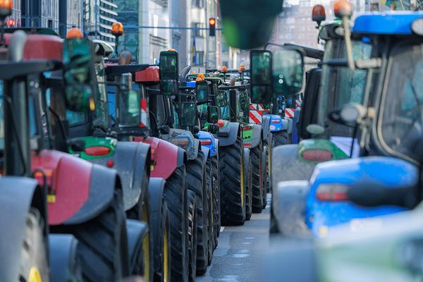 Farmers'_protest_in_Brussels_(01)