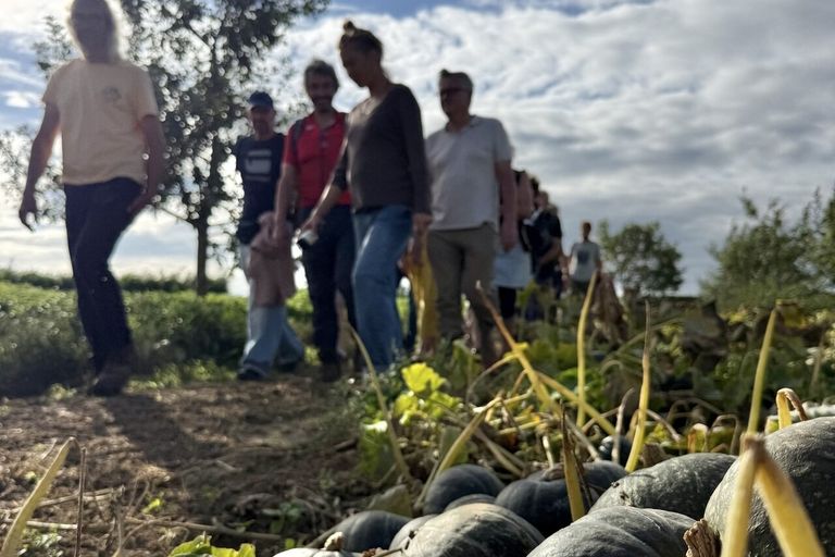 een groep mensen wandelt langs een moestuin