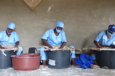Afrikaanse vrouwen zeven meel