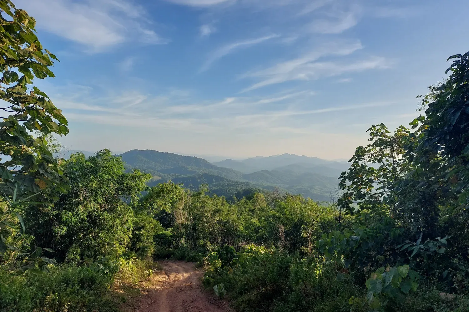Wijds uitzicht op het Myanmarese landschap. Op de voorgrond een zandweg die verdwijnt achter de bomen en struiken.