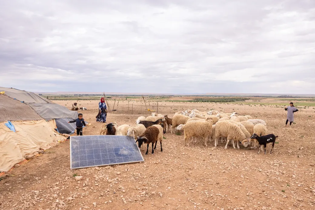 Bedoeïnen laten schapen en geiten grazen op schrale staatsgronden. Vooral een beperkte elite van grootgrondbezitters geniet overheidssteun.