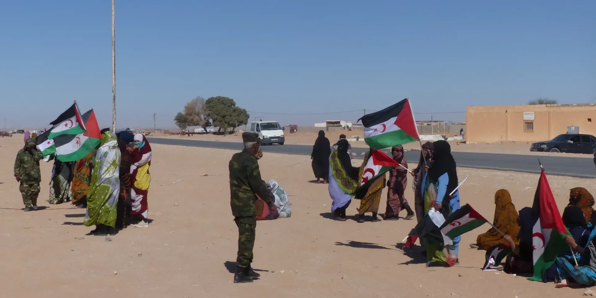Algerijnen met vlaggen in de hand aan de rand van een straat