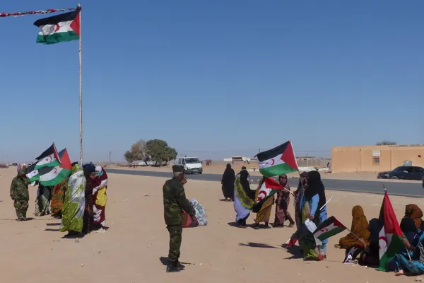 Algerijnen met vlaggen in de hand aan de rand van een straat