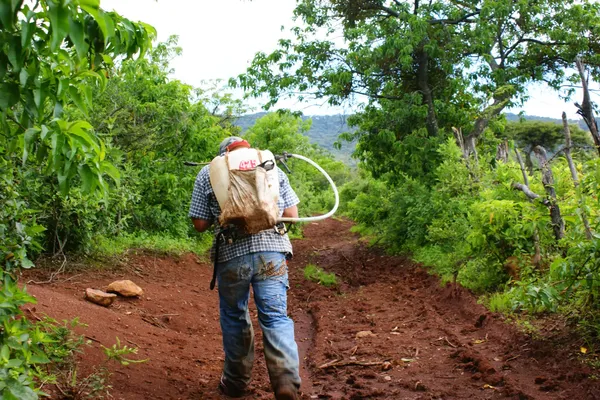 Een man besproeit een klein open stuk grond in een Zuid-Amerikaans oerwoud met pesticiden