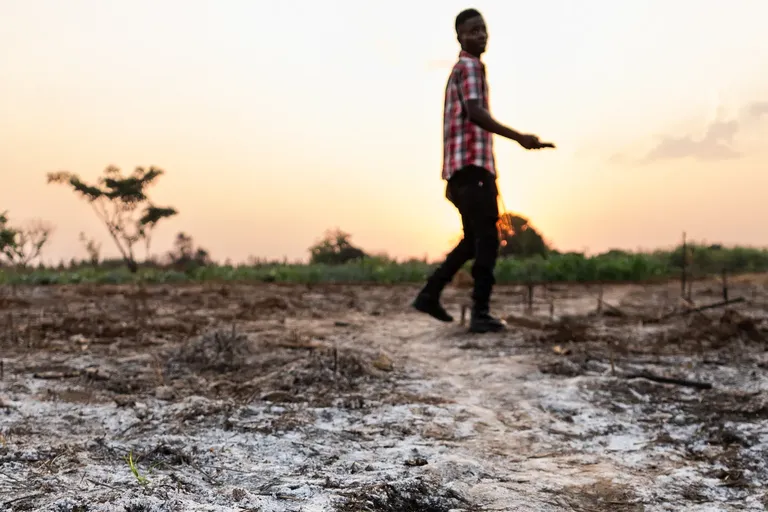 landbouwgrond wordt met kalk bedekt in de hoop de zuurtegraad van de vervuiling te verminderen
