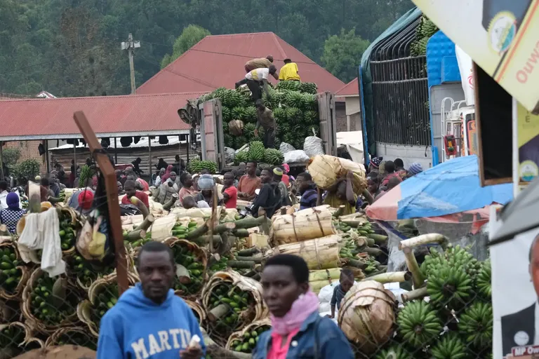 markt volgestapeld met (nog groene) bananen en een volgestouwde vrachtwagen.
