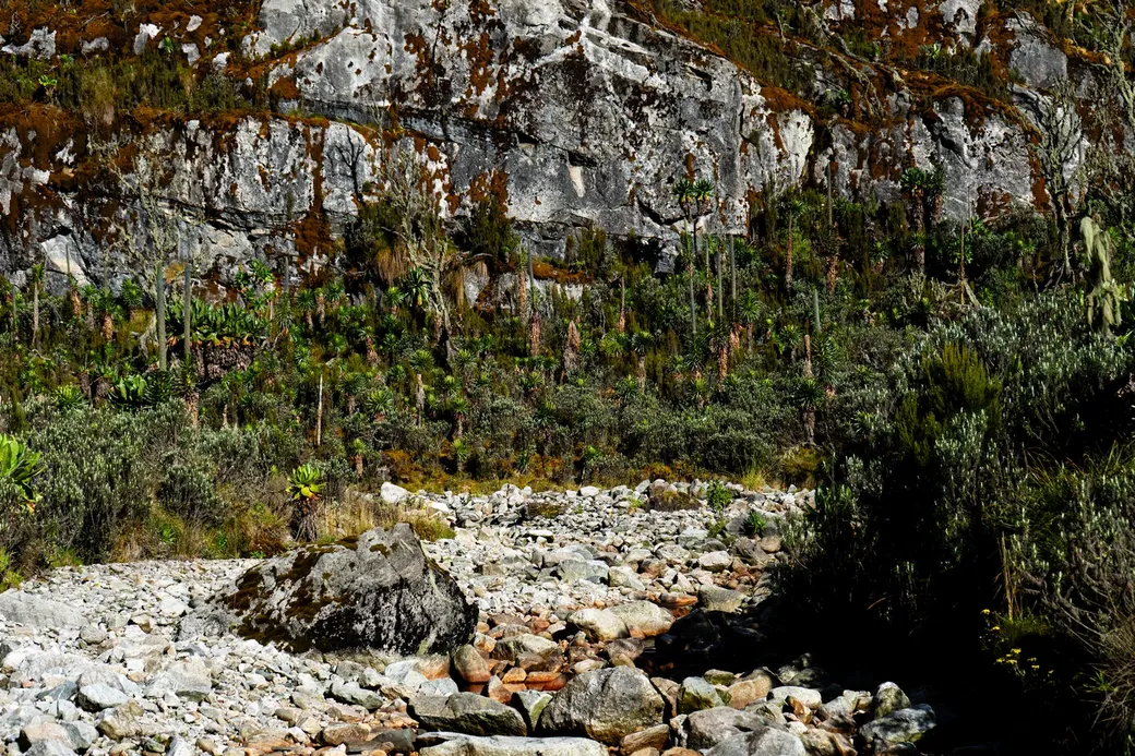 Een uitgedroogde beek in Rwenzori