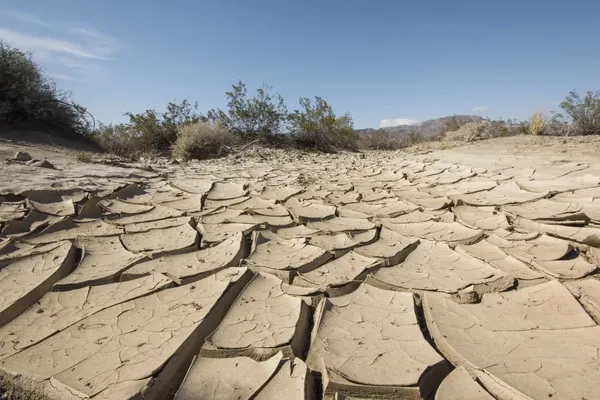 beeld van een verdroogde aarde
