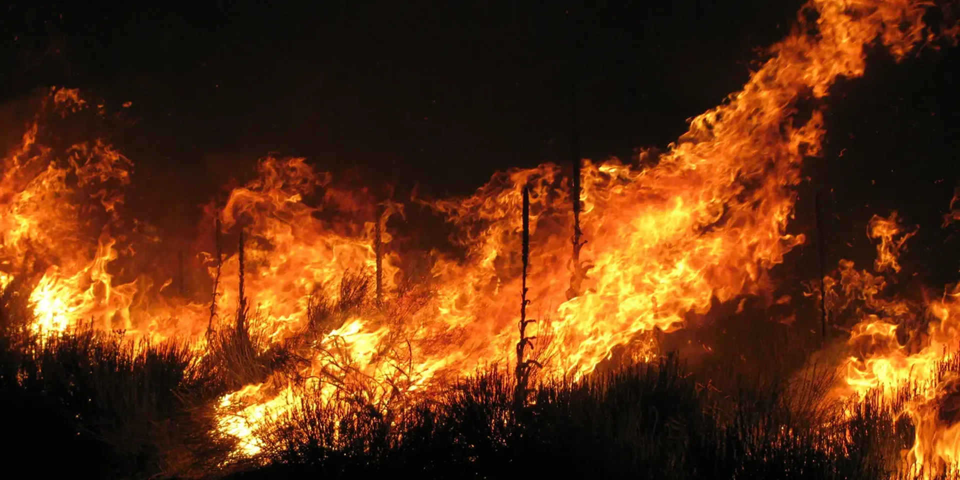 beeld van een extreme bosbrand