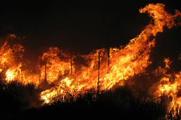 beeld van een extreme bosbrand