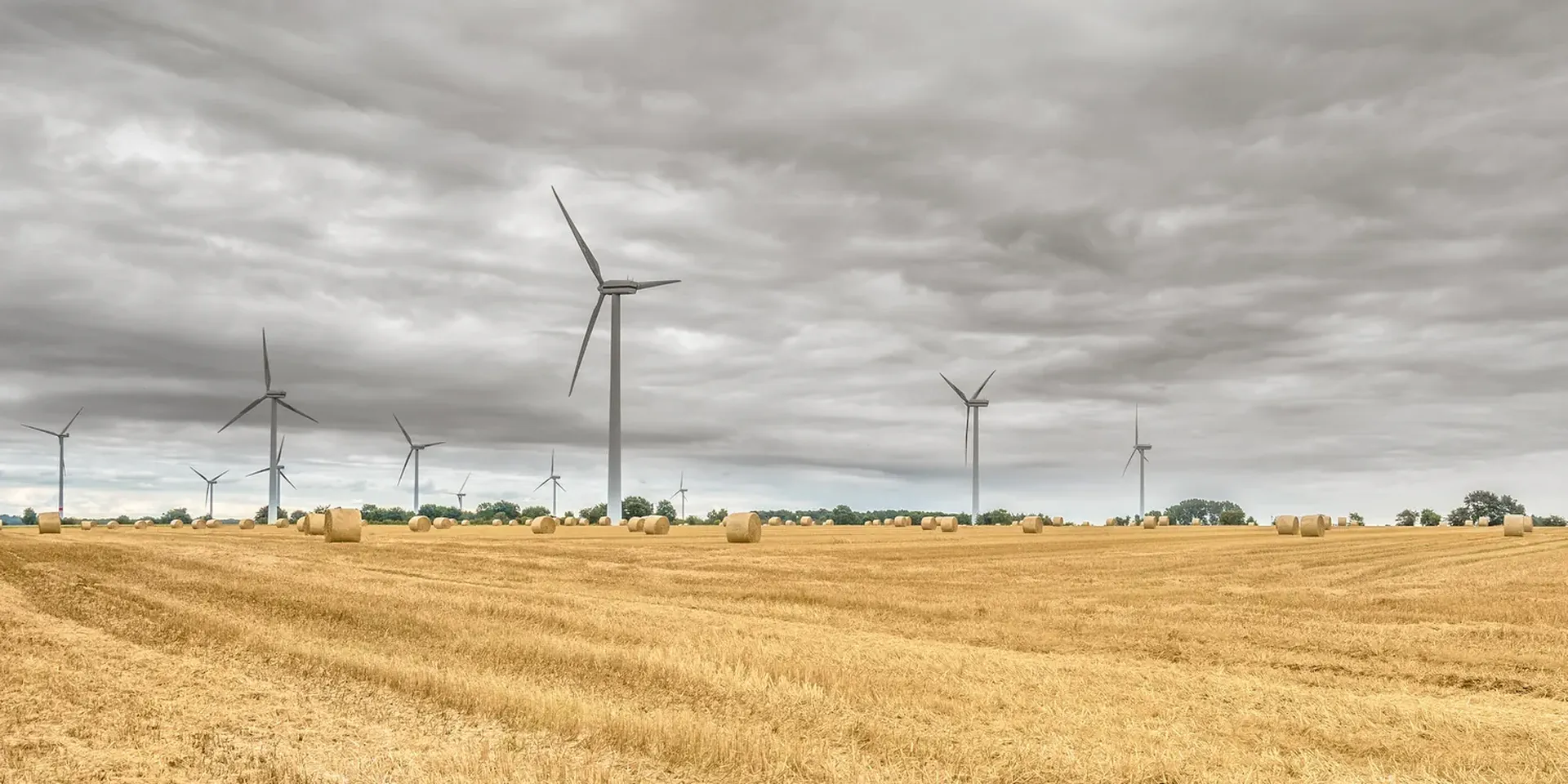 windmolens in een gemaaid graanveld
