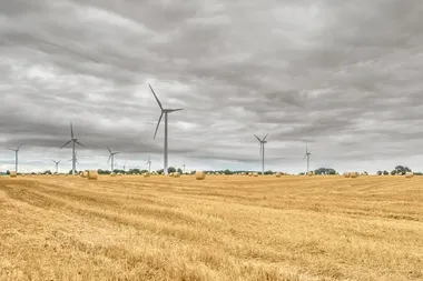 windmolens in een gemaaid graanveld