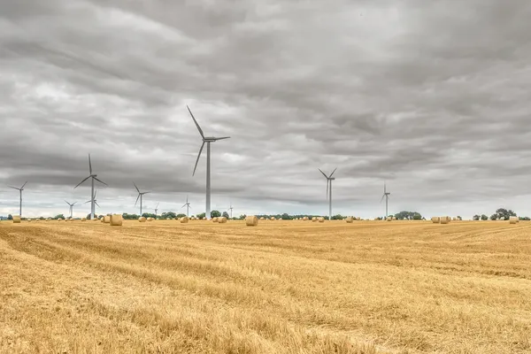windmolens in een gemaaid graanveld