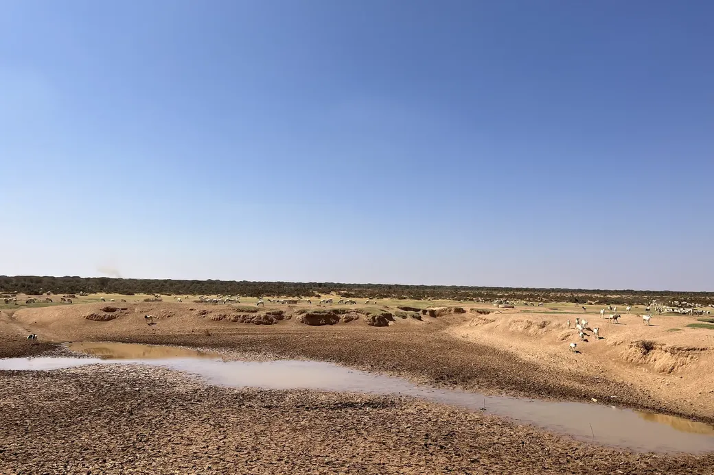 Wijds uitzicht over een schaars begroeide oppervlakte. In de voorgrond een bijna uitgedroogde rivier. Aan de overkant grazen geiten