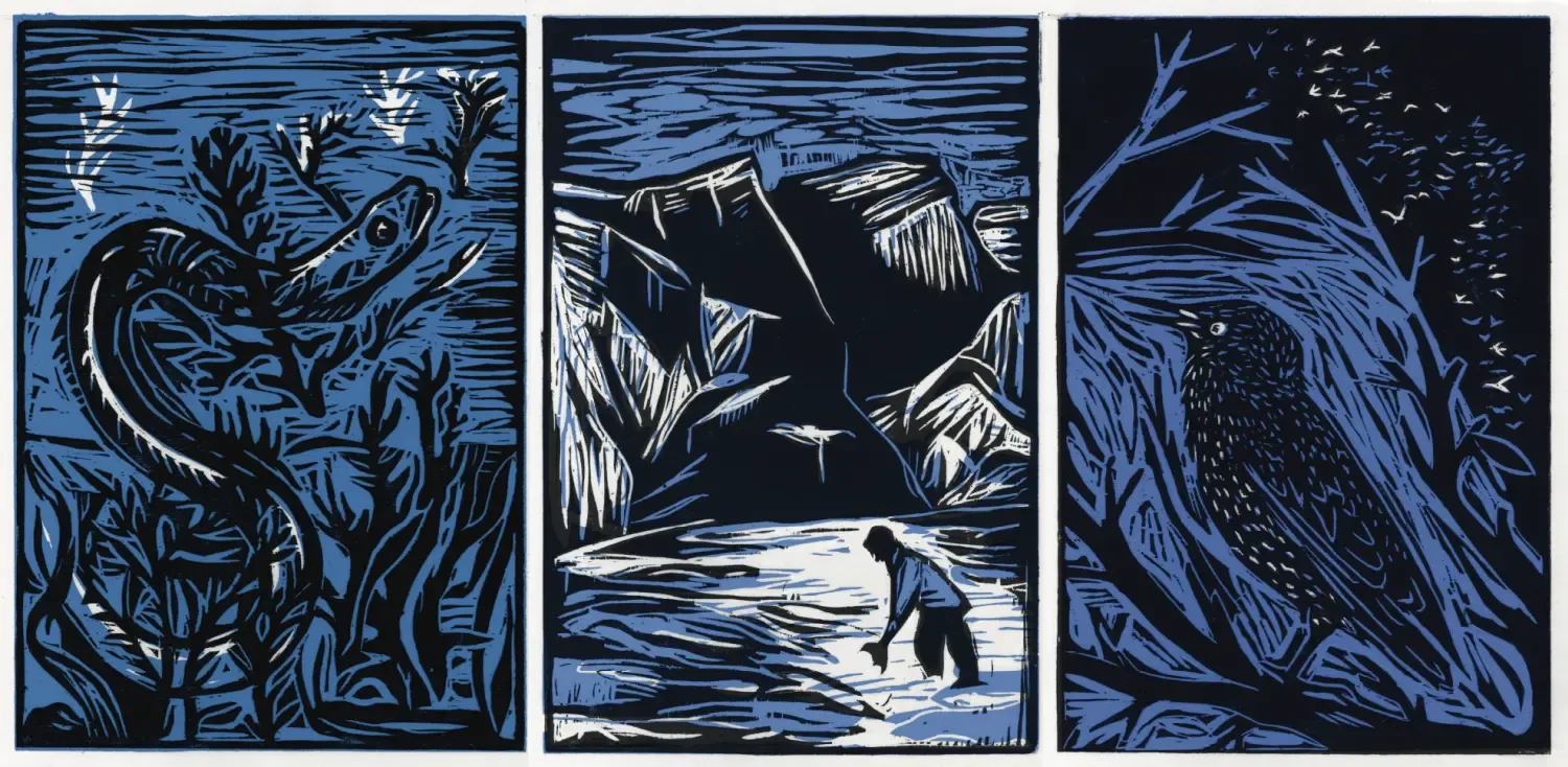 3 naast elkaar staande houtgravures van een paling, een gletsjer en een spreeuw