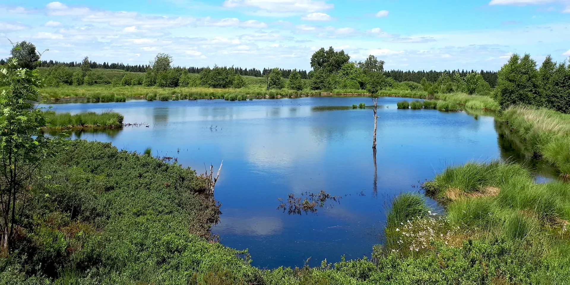 klein meer