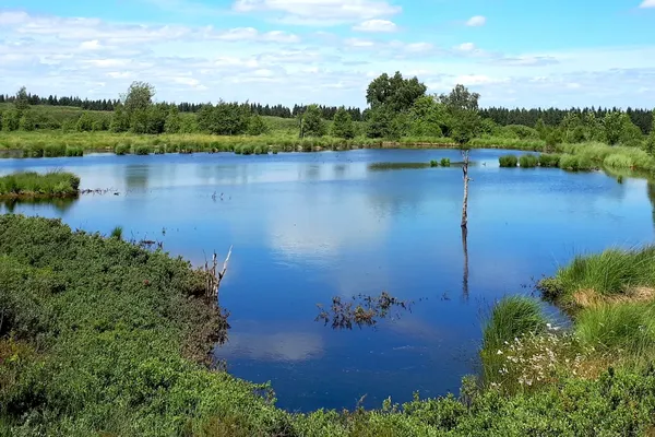 klein meer