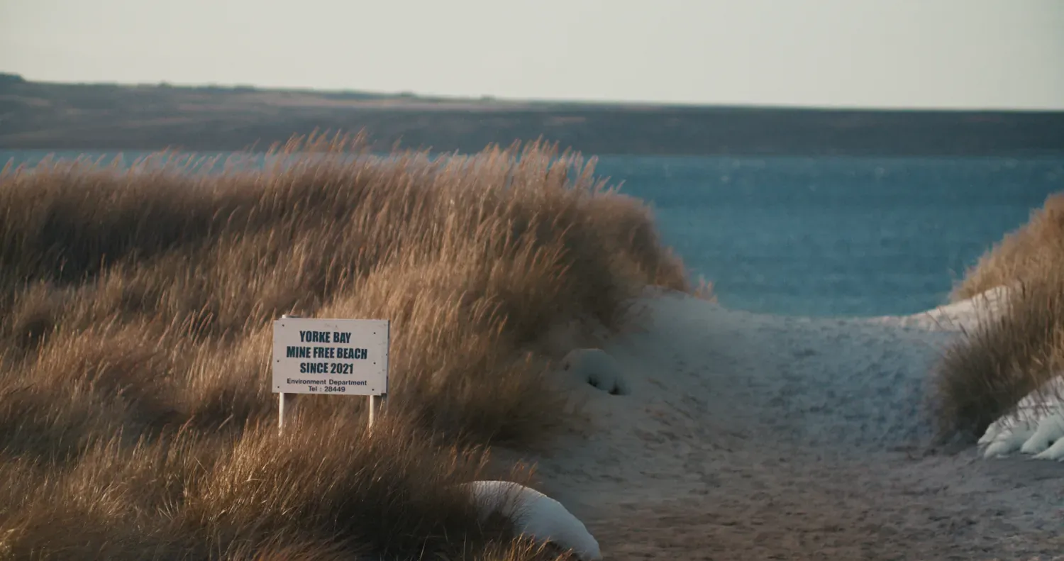 Duinen aan een strand met een pancarte waarop staat dat het strand van Yorke Bay mijnvrij is sinds 2021