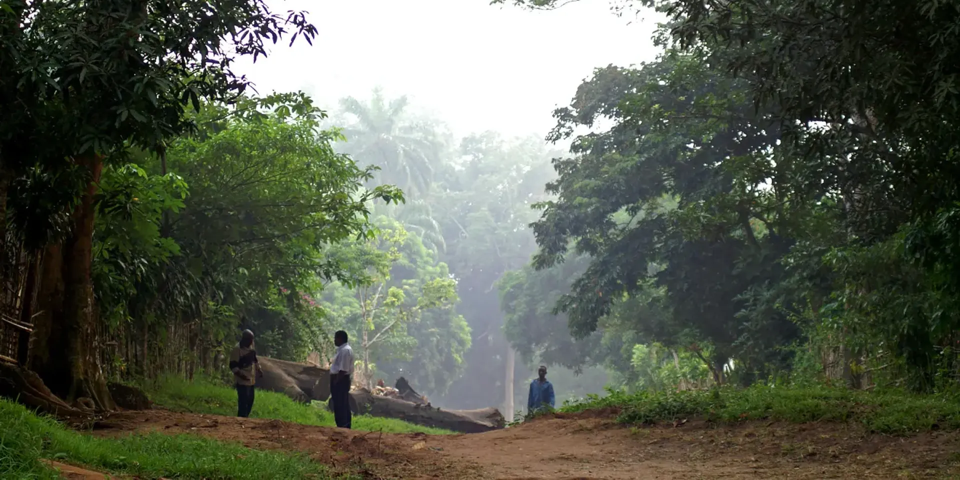 Drie mannen op een weg die doorheen het Congolese regenwoud loopt.