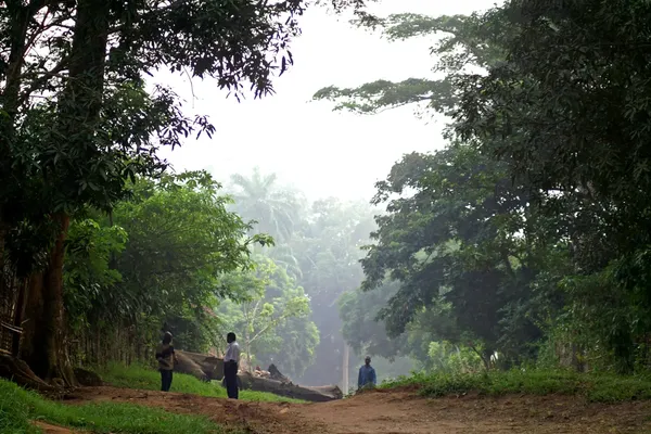 Drie mannen op een weg die doorheen het Congolese regenwoud loopt.