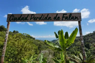 zicht op het bladerdak van een oerwoud. Vooraan een naambord waarop staat ‘Ciudad Perdida de Falan’