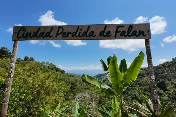 zicht op het bladerdak van een oerwoud. Vooraan een naambord waarop staat ‘Ciudad Perdida de Falan’