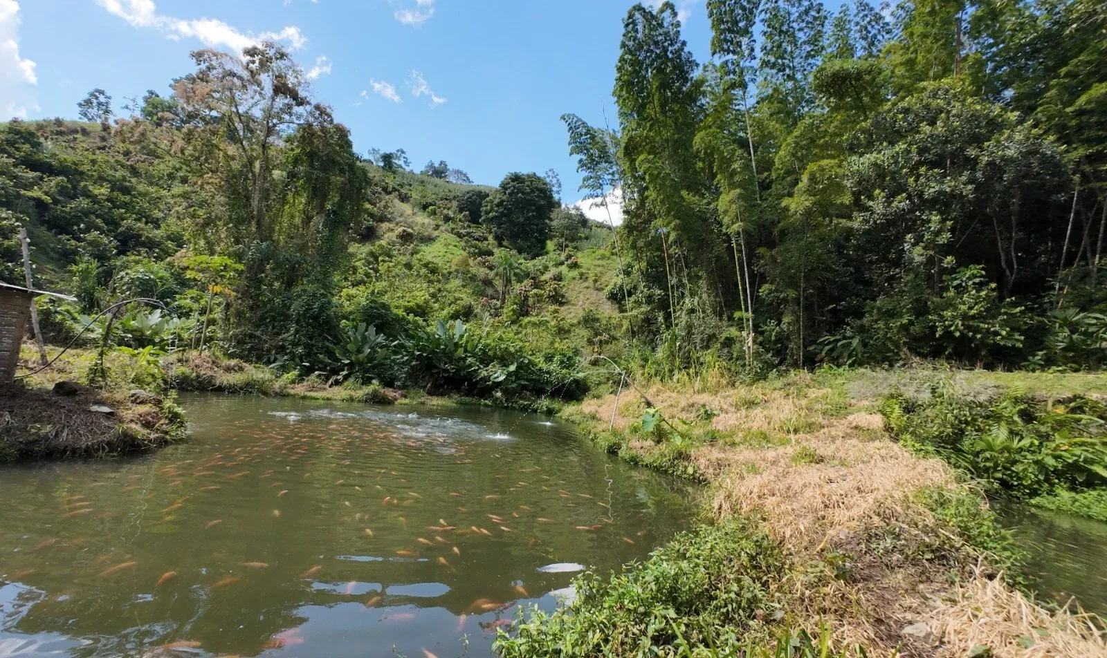 een rivier