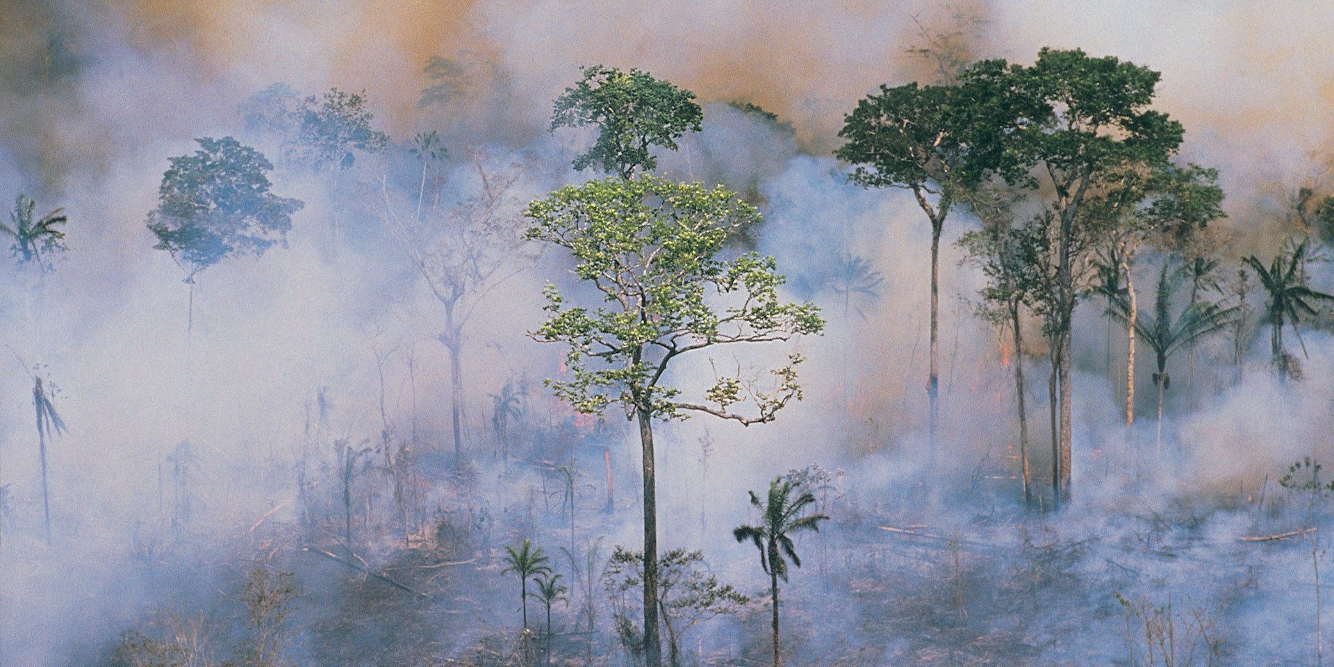 getty-images-tFeg0TUapL4-unsplash