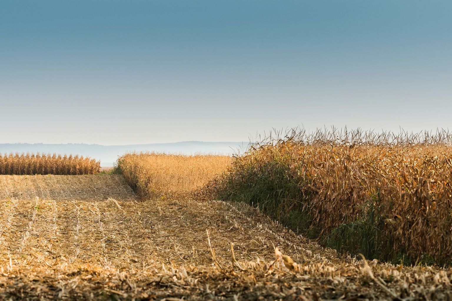 landbouw droogte