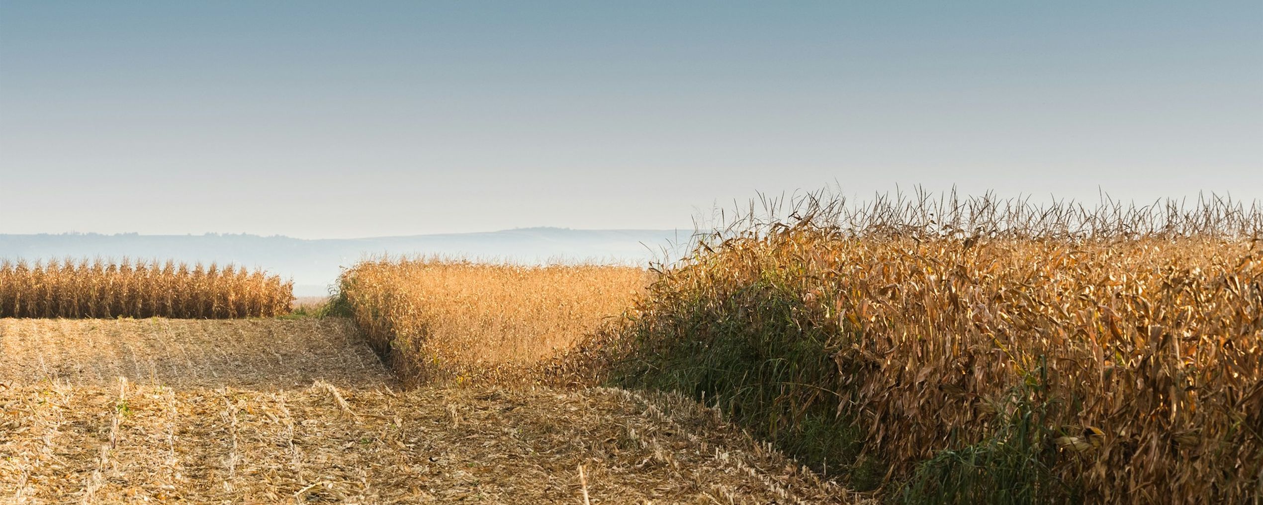 landbouw droogte