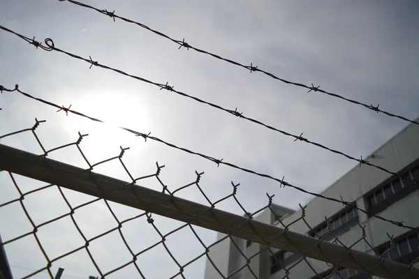 barbed wire