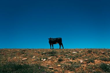 thomas-marquize-LNbjCvyPDiQ-unsplash