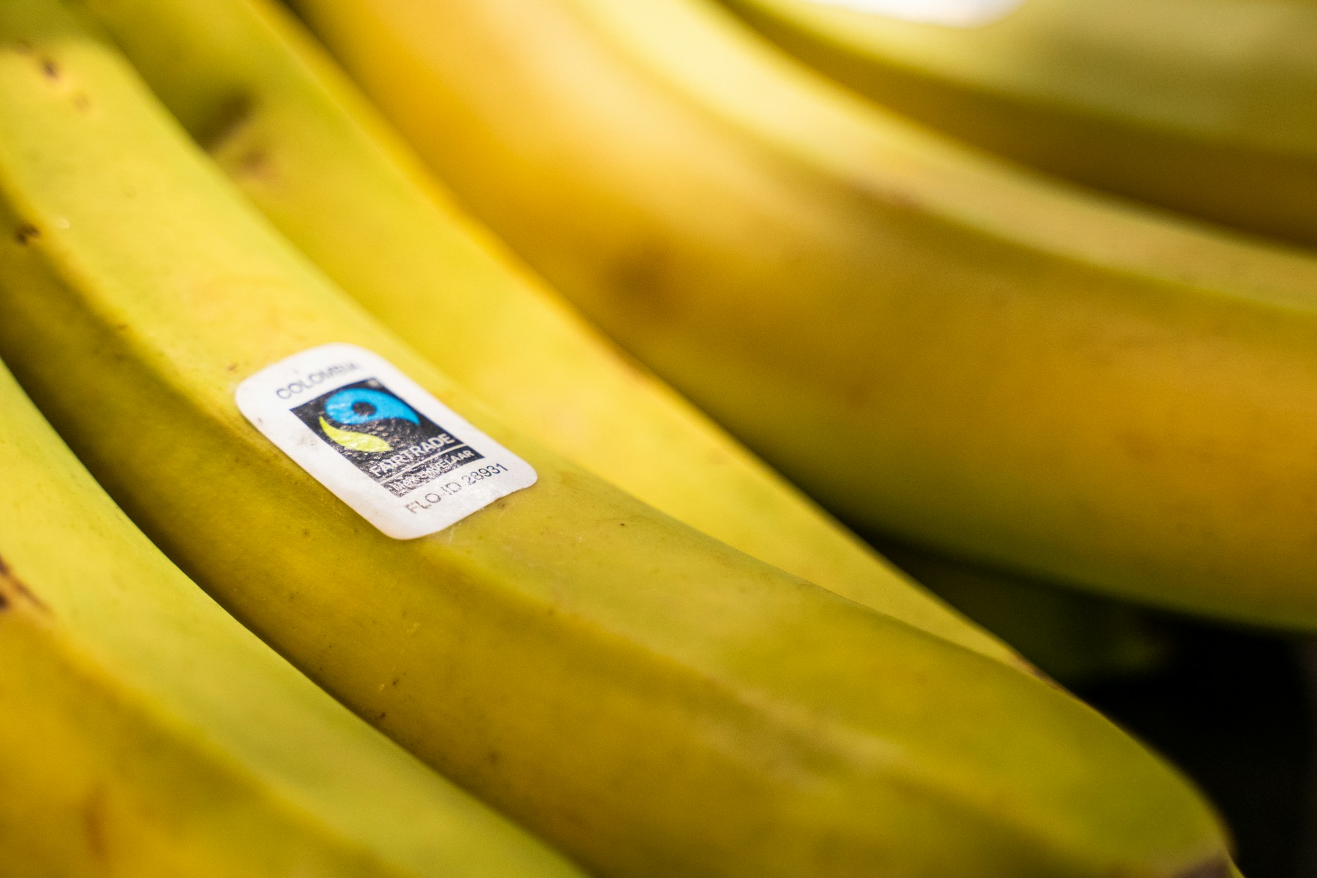 Duurzame labels boosten export in tropische landen