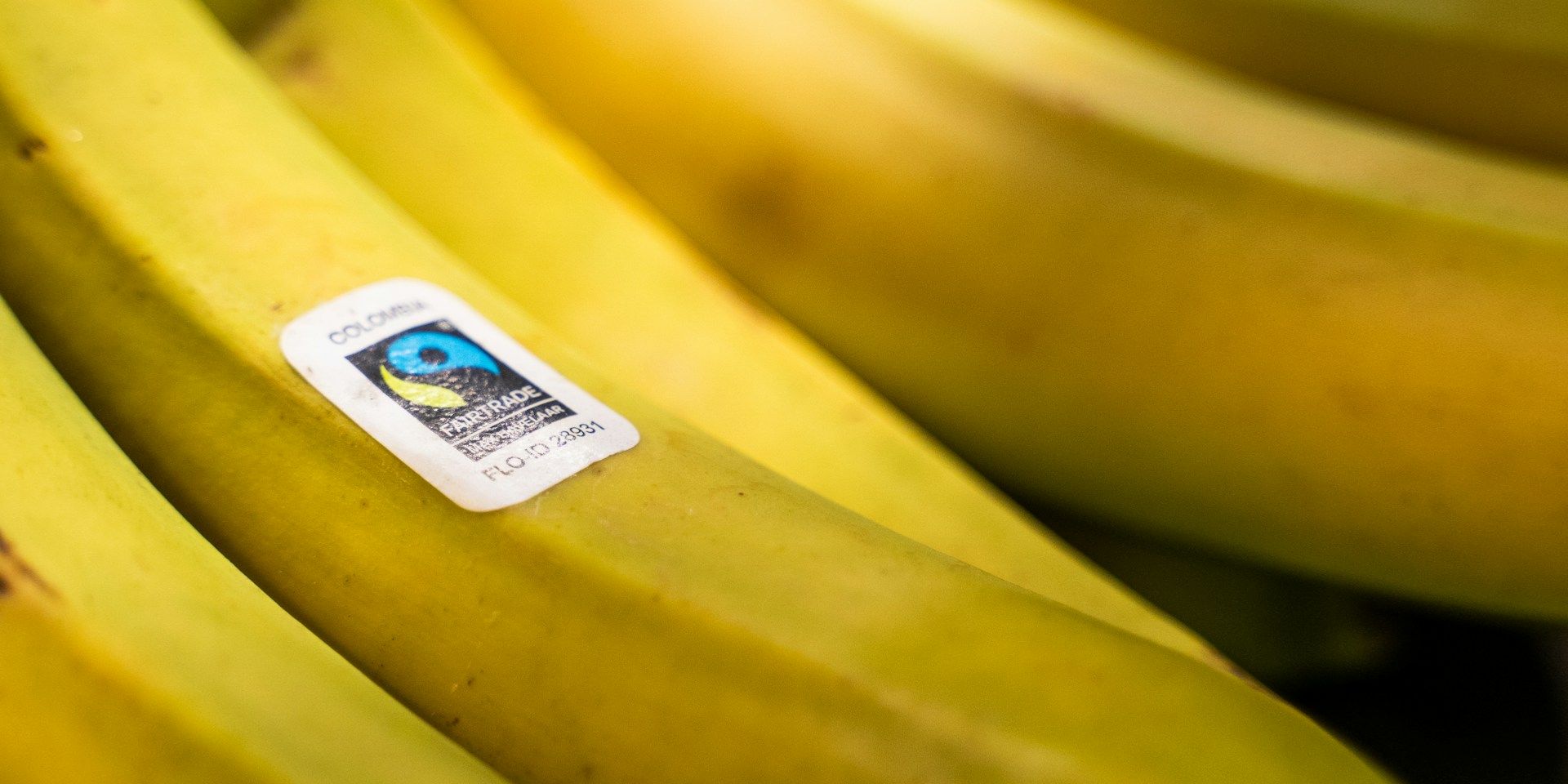 fairtrade label