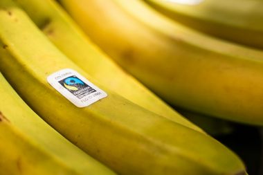 fairtrade label