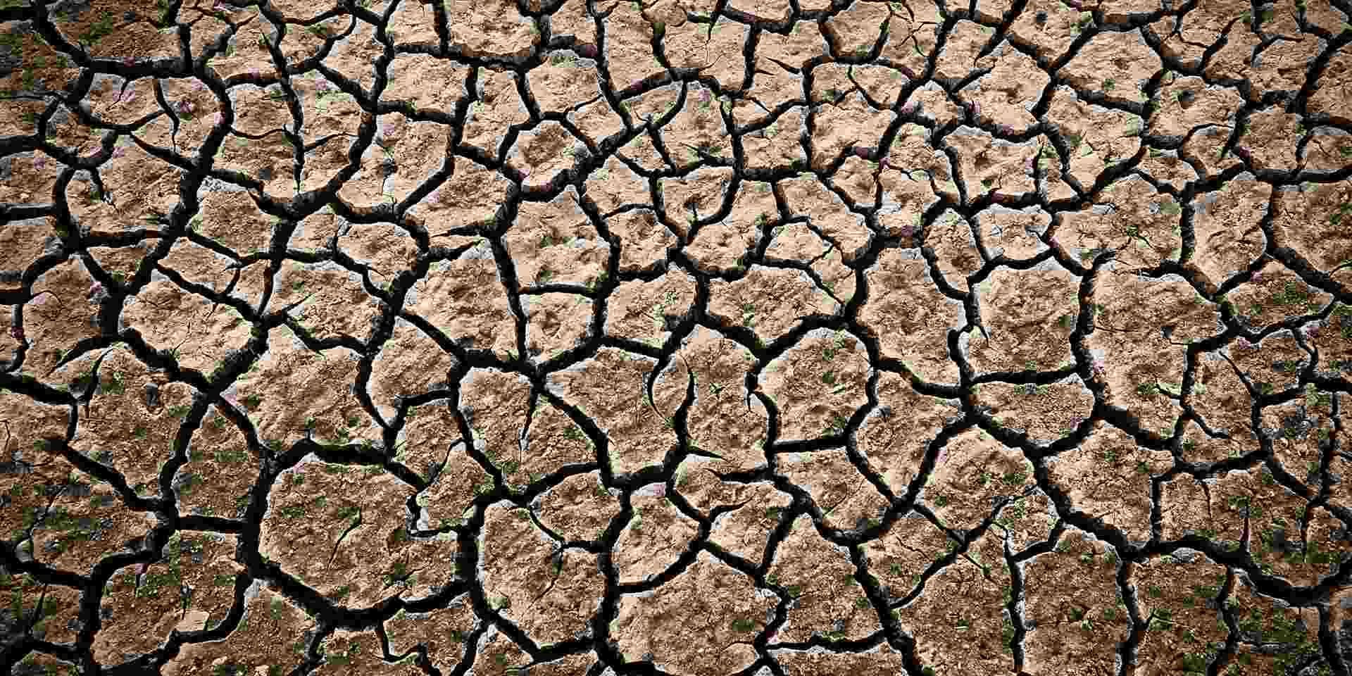 heatwave drought hitte doorgte