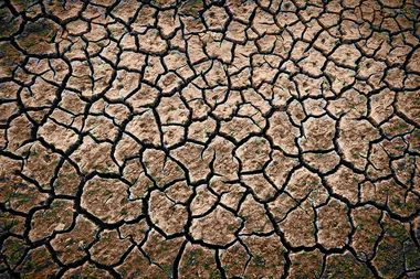 heatwave drought hitte doorgte