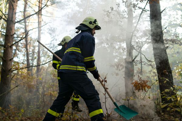 Firefighters in protective gear with helmets work amidst smoke in a forest, using shovels to manage a wildfire.