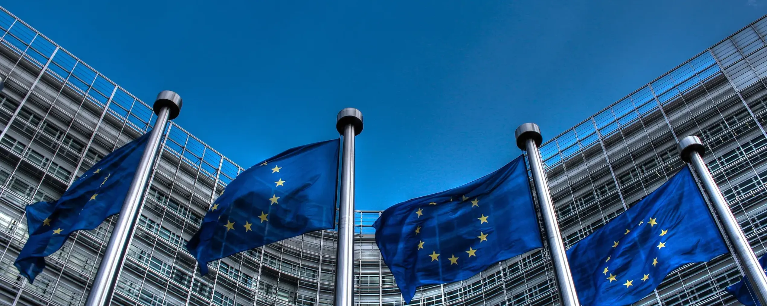 Een rij vlaggen van de Europese Unie voor het Europese parlement