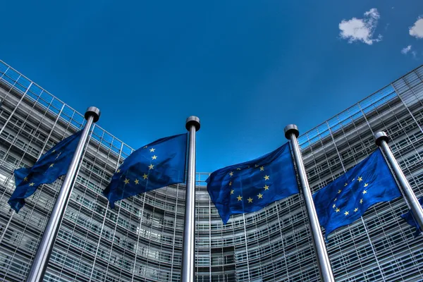 Een rij vlaggen van de Europese Unie voor het Europese parlement