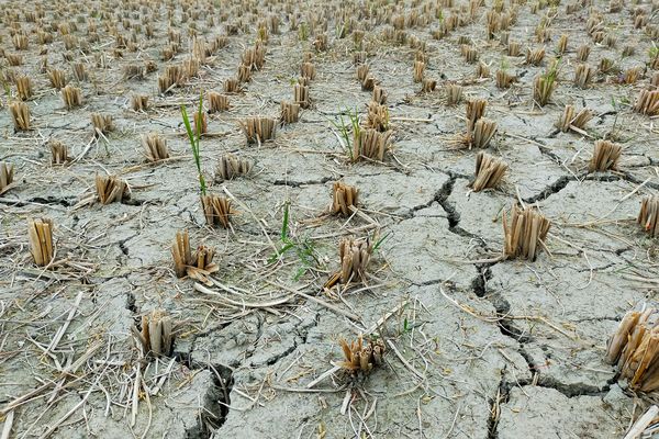 md-hasanuzzaman-himel-mz278SNa2ek-unsplash