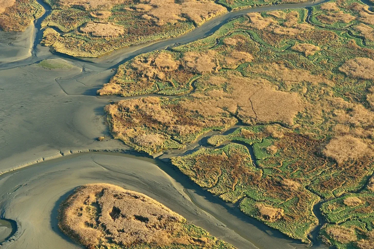 Luchtbeeld van het Verdronken Land van Saeftinghe